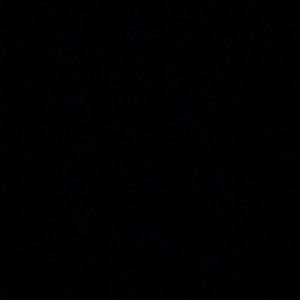 Meet your Posher, Lola